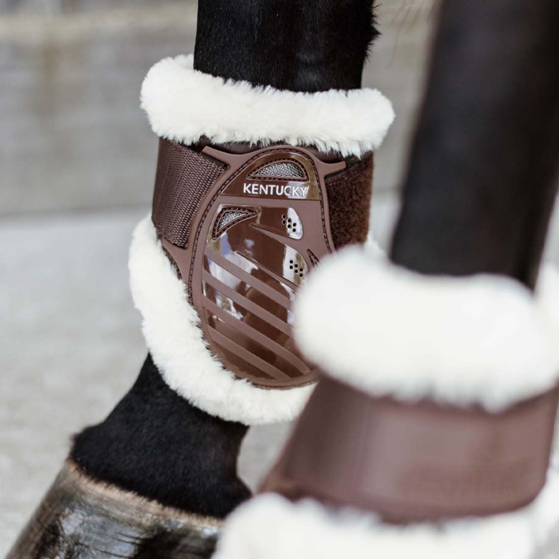 Young Horse Sheepskin Fetlock Boots Shield Brown