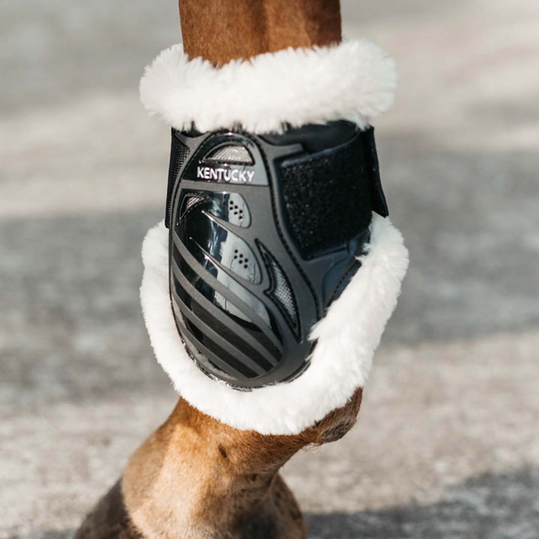 Young Horse Sheepskin Fetlock Boots Shield Black