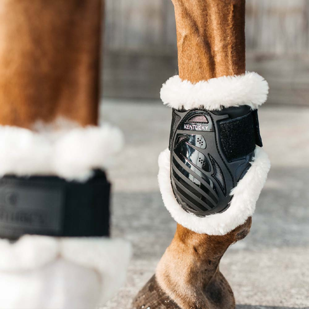 Young Horse Sheepskin Fetlock Boots Shield Black