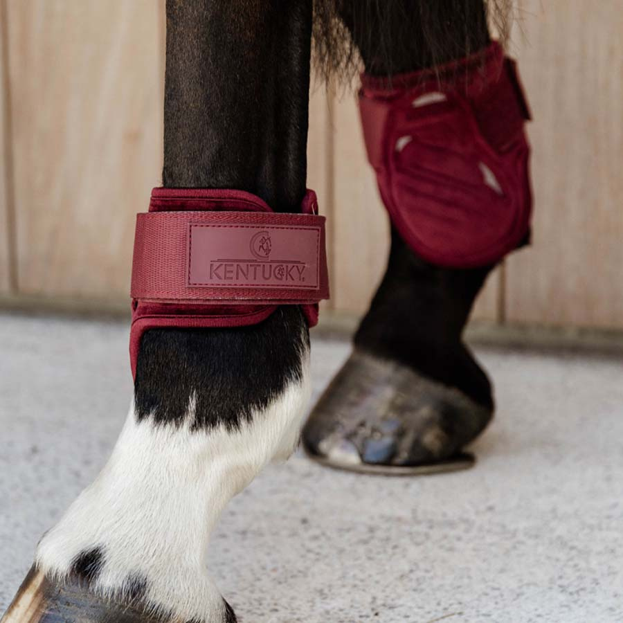 Fetlock Boots Young Velvet Bordeaux