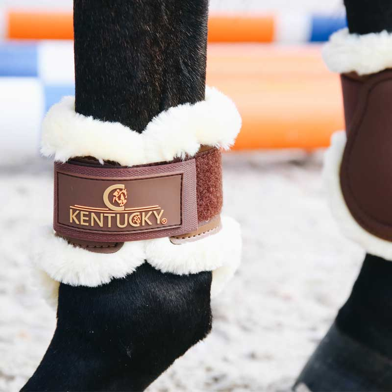 Young Horse Sheepskin Fetlock Boots Brown