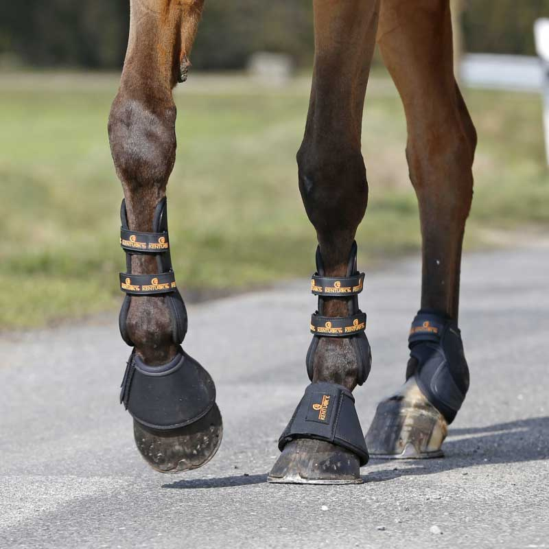 Bell Boots Synthetic Leather Black