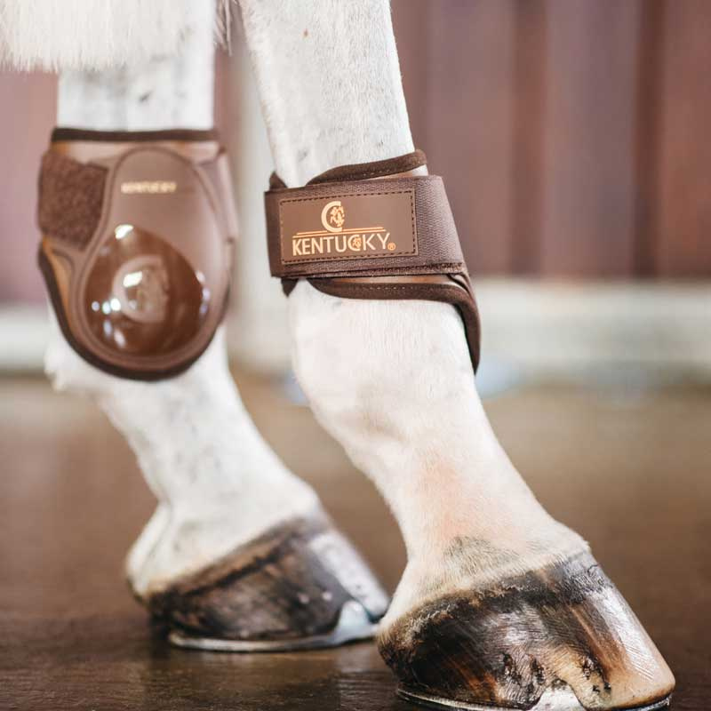 Young Horse Fetlock Boots Brown