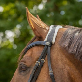 Anatomic Bridle Ontario Faux Fur Black Anatomic Bridle Ontario Faux Fur Black