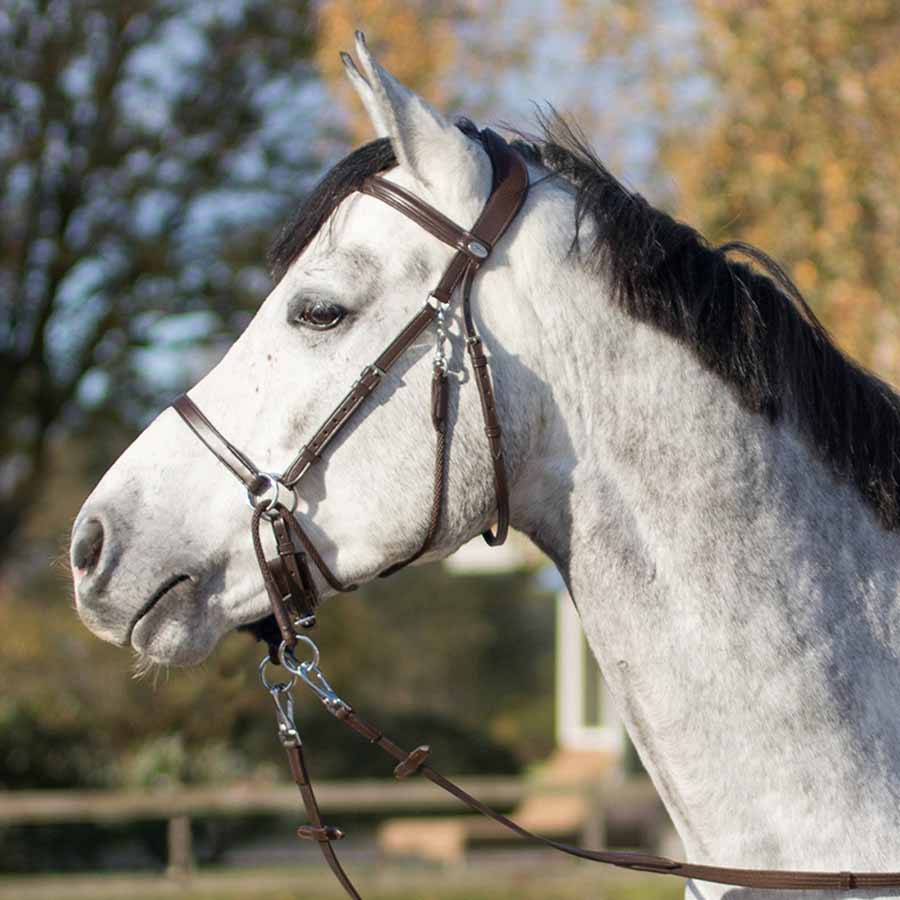 Bitless Bridle Ceto Brown