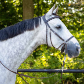 Bitless Bridle Ceto Brown Bitless Bridle Ceto Brown