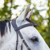 Bitless Bridle Ceto Brown Bitless Bridle Ceto Brown