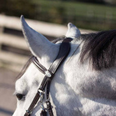 Bitless Bridle Ceto Brown Bitless Bridle Ceto Brown