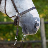 Bitless Bridle Ceto Brown Bitless Bridle Ceto Brown