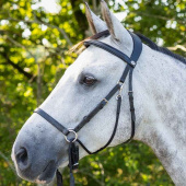 Bitless Bridle Ceto Black Bitless Bridle Ceto Black