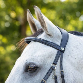 Bitless Bridle Ceto Black Bitless Bridle Ceto Black