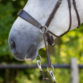 Bitless Bridle Sunna Brown Bitless Bridle Sunna Brown