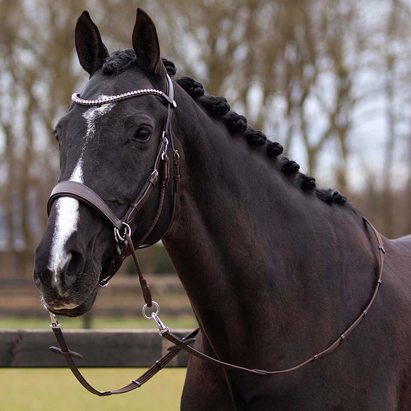 Bitless Bridle Sunna Brown