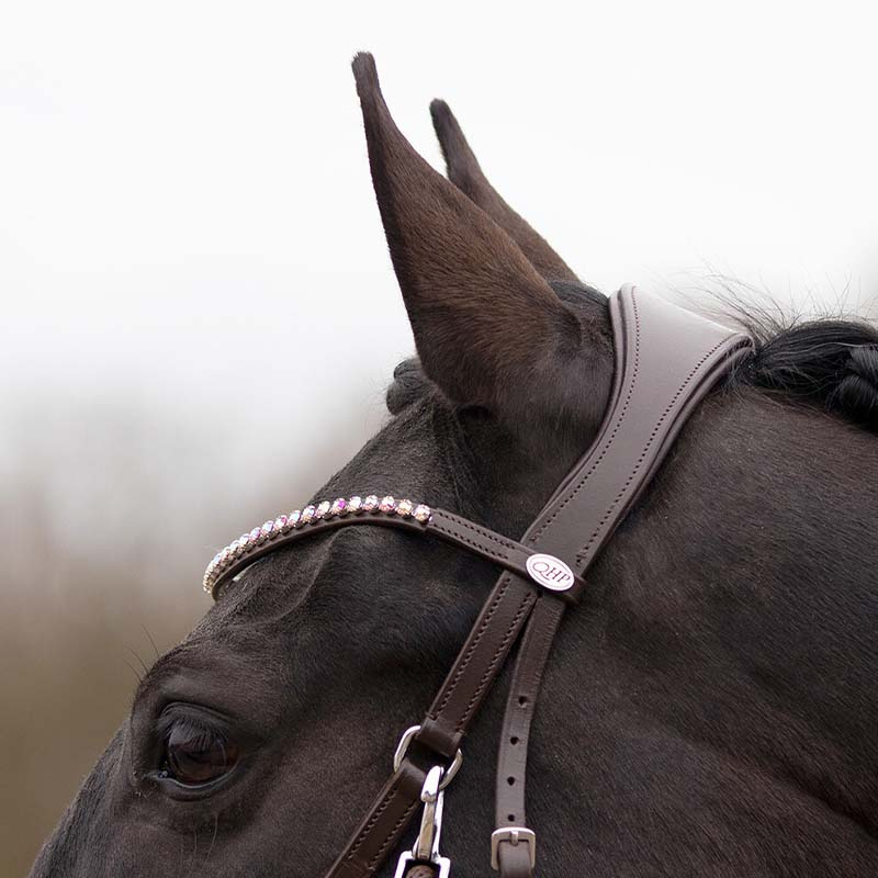 Bitless Bridle Sunna Brown