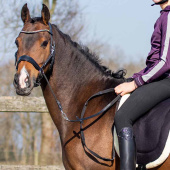 Bitless Bridle Sunna Black Bitless Bridle Sunna Black