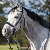 Bitless Bridle Sunna Black Bitless Bridle Sunna Black