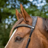 Bitless Bridle Anatomical Black Bitless Bridle Anatomical Black