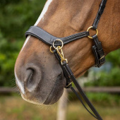 Bitless Bridle Anatomical Black Bitless Bridle Anatomical Black