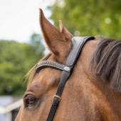 Bitless Bridle Anatomical Black Bitless Bridle Anatomical Black