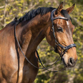 Bitless Bridle Anatomical Black Bitless Bridle Anatomical Black