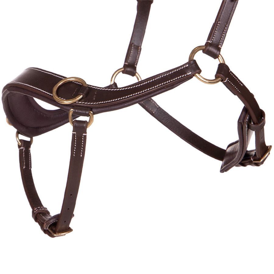 Bitless Bridle Anatomical Brown