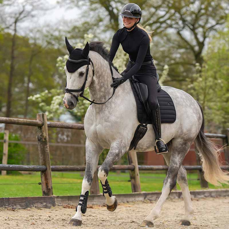 Anatomical Bridle Salerno Black