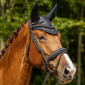 Bridle Glitter Collection Black Bridle Glitter Collection Black