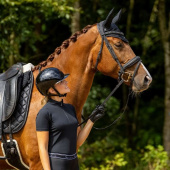 Bridle Glitter Collection Black Bridle Glitter Collection Black