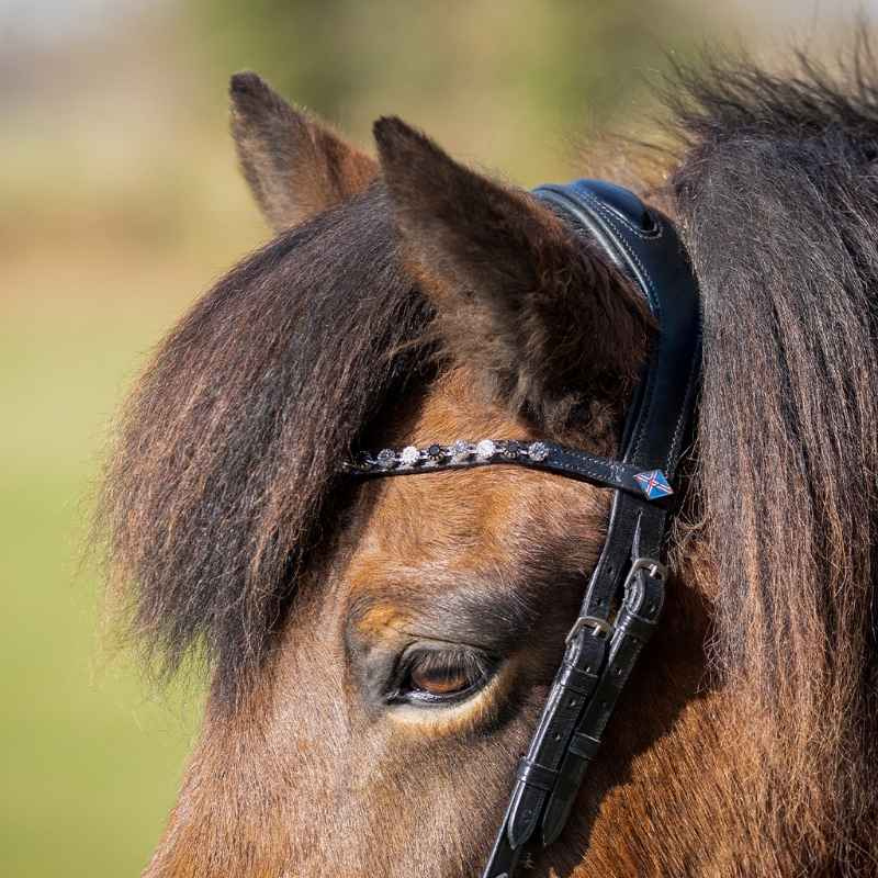 Bridle Fjara Icelandic Black