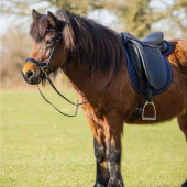 Bridle Fjara Icelandic Black Bridle Fjara Icelandic Black