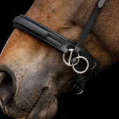 Bitless Bridle Supersoft X-Line Black Bitless Bridle Supersoft X-Line Black