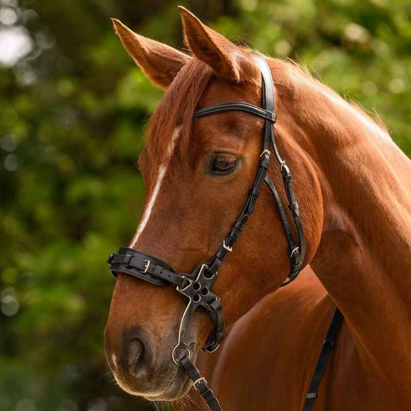 Hackamore Bridle X-Line Black