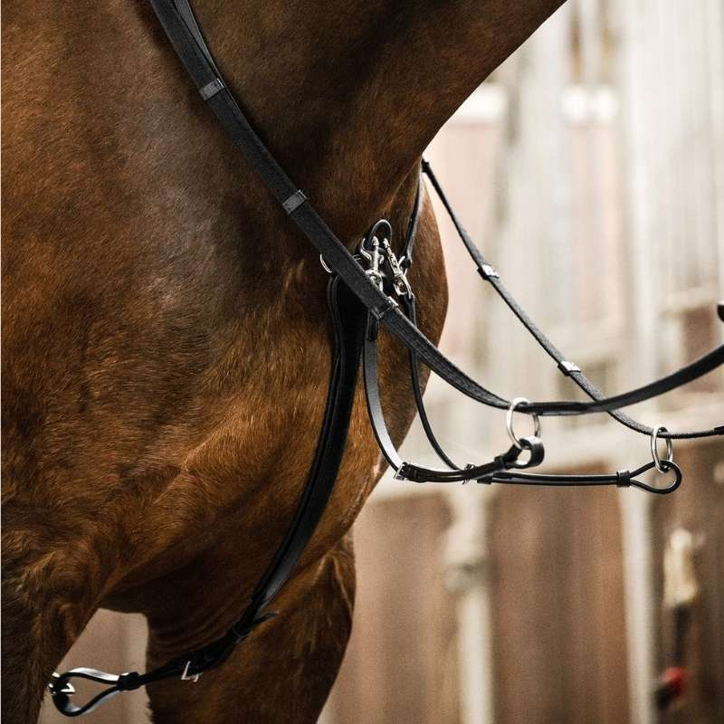 Martingale Professional X-Line Black