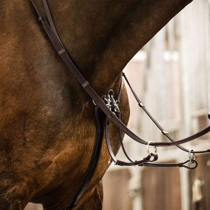 Martingale Professional X-Line Brown
