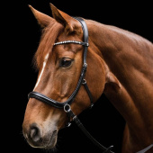 Bitless Bridle Sensation X-Line Black Bitless Bridle Sensation X-Line Black