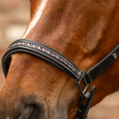 Leather Halter Crystal X-Line Black/Pink Leather Halter Crystal X-Line Black/Pink