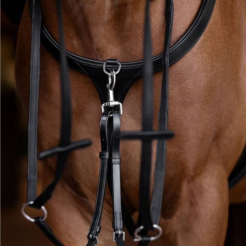 Breastplate Long Bridge X-Line Black