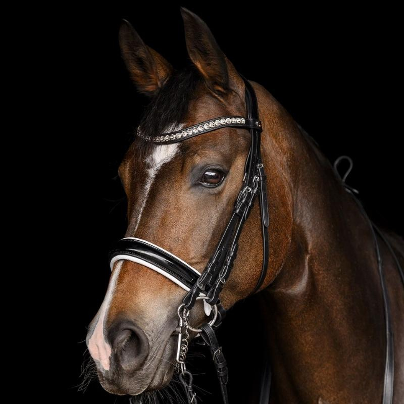 Double Bridle Evermore X-Line Black/White