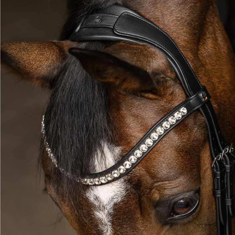 Double Bridle Evermore X-Line Black/White