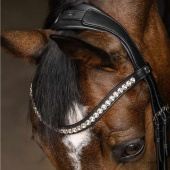 Double Bridle Evermore X-Line Black/White Double Bridle Evermore X-Line Black/White