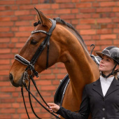 Double Bridle Evermore X-Line Black/White Double Bridle Evermore X-Line Black/White