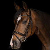 Bridle Charmbit X-Line Brown Bridle Charmbit X-Line Brown