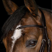 Bridle Charmbit X-Line Brown Bridle Charmbit X-Line Brown