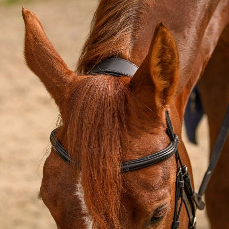 Hackamore Bridle Sensitive X-Line Black