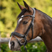 Browband Shine X-Line Black/Black Browband Shine X-Line Black/Black