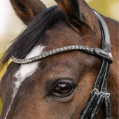 Browband Shine X-Line Black/Silver Browband Shine X-Line Black/Silver