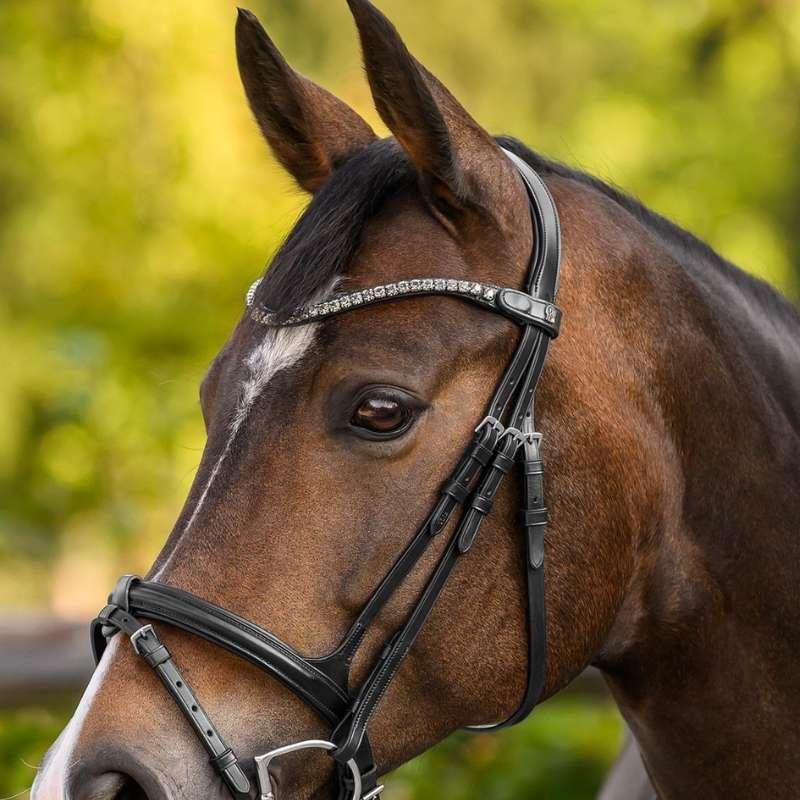 Browband Shine X-Line Black/Silver 