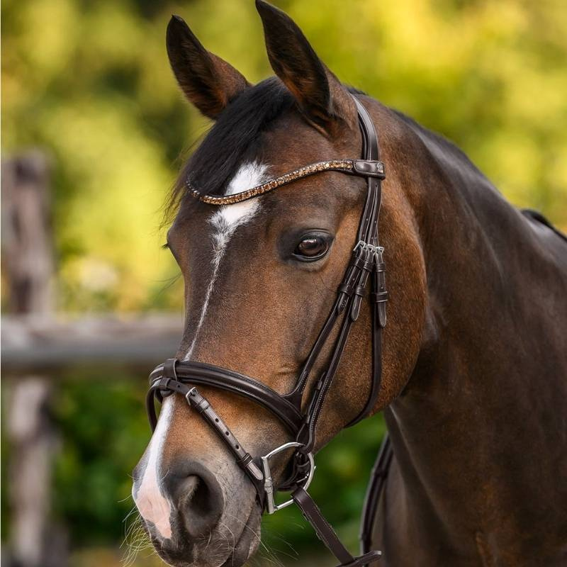 Browband Shine X-Line Brown/Beige