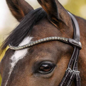Browband Shine X-Line Brown/Silver Browband Shine X-Line Brown/Silver