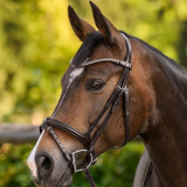 Browband Shine X-Line Brown/Silver Browband Shine X-Line Brown/Silver